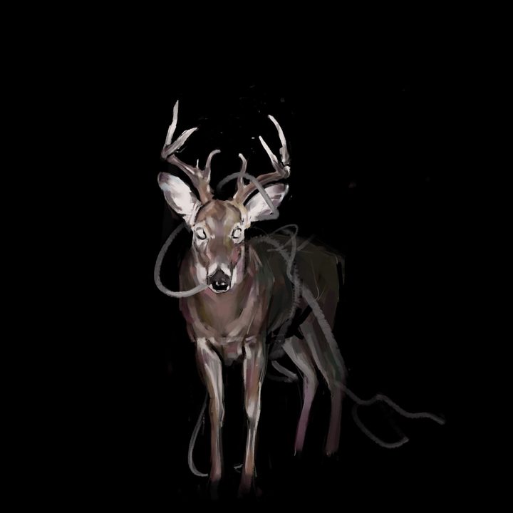 Official cover art for Bambi by Token and Connor Price. A painted deer stands on a black field.
